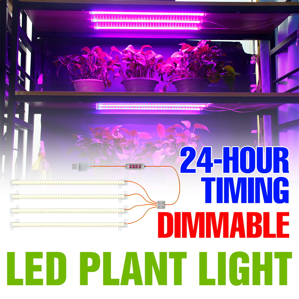 Echeveria Succulent - LED-Pflanzenlichtleiste für Innenräume, USB, Vollspektrum, dimmbar,