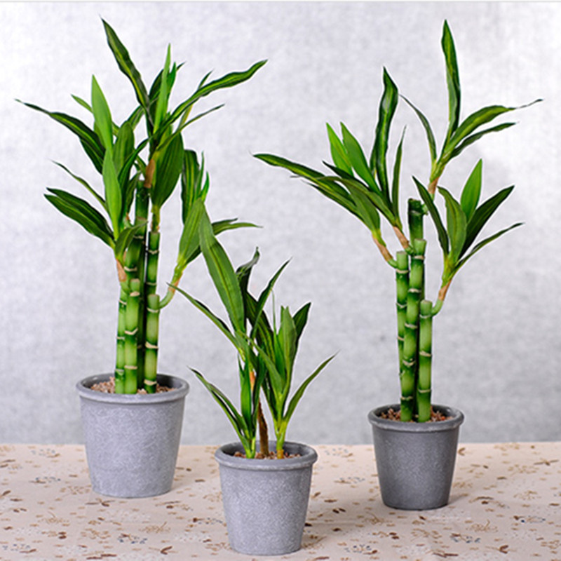 Neue 40cm Künstliche Glücksbam – Echeveria Succulent Bewertung und Preis