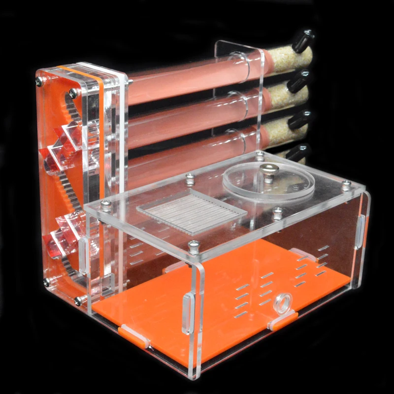DIY Acryl Ameisenfarm 5 Stück  – Begonia Rex Bewertung und Preis