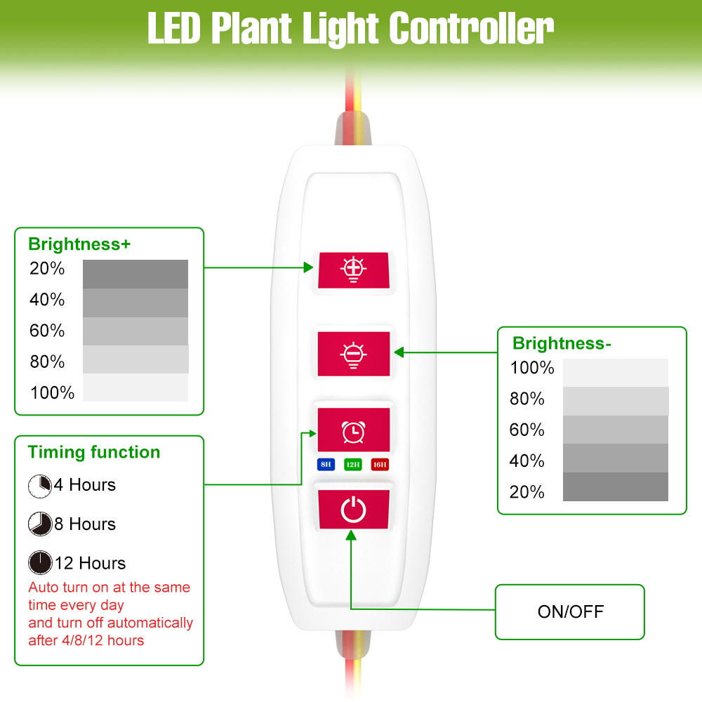LED-Pflanzenlichtleiste für In – Echeveria Succulent Bewertung und Preis