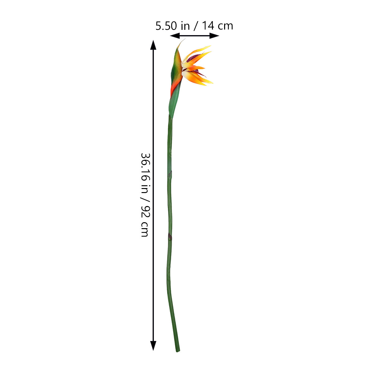 Künstliche Strelitzie-Blume, K – Bird Paradise Strelitzia Bewertung und Preis
