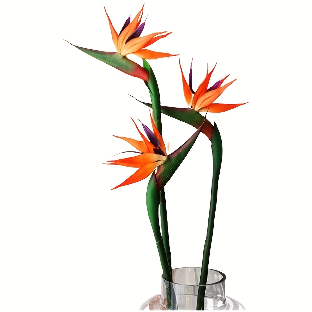 3 Stück künstliche Himmelvogel – Bird Paradise Strelitzia Bewertung und Preis