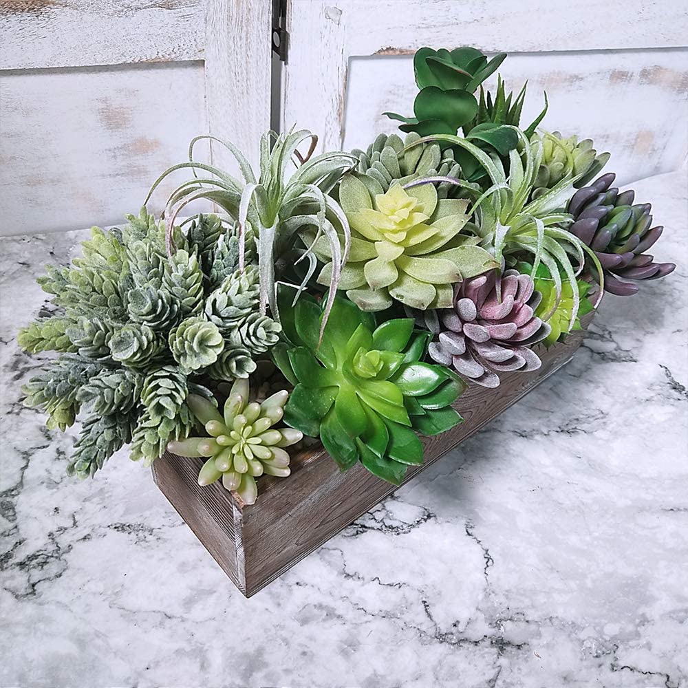 15er-Pack Sortierte Künstliche – Echeveria Succulent Bewertung und Preis