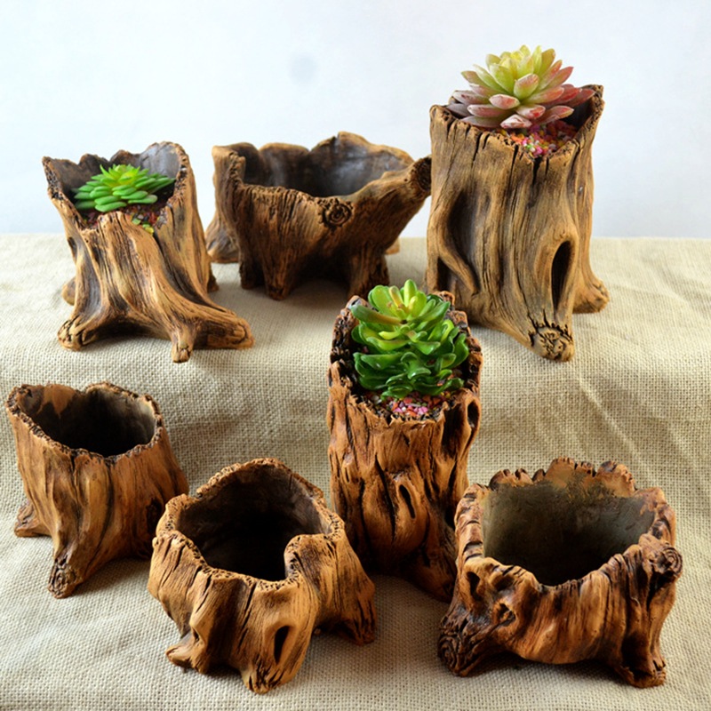 Nachahmung Holzpfähle Baumwurz – Echeveria Succulent Bewertung und Preis