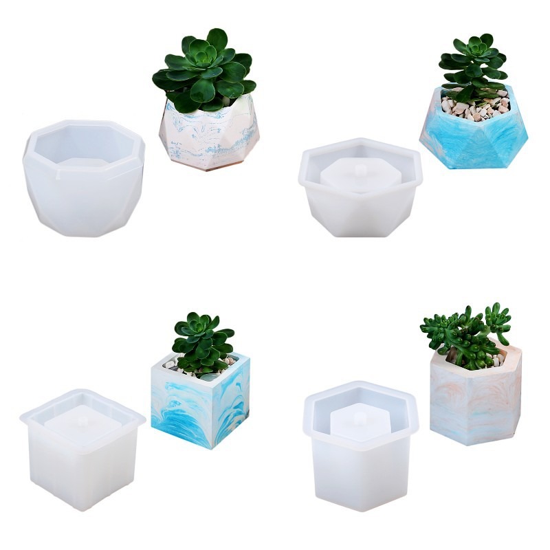 Sukkulenten Blumentopf Silikon – Echeveria Succulent Bewertung und Preis